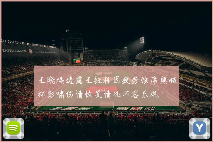 王晓瑞透露王钰栋因疲劳缺席熊猫杯彭啸伤情恢复情况不容乐观